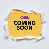 PIAGGIO MP3 SPORT 300