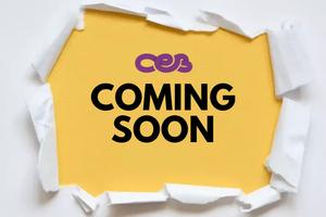 PIAGGIO MP3 SPORT 300