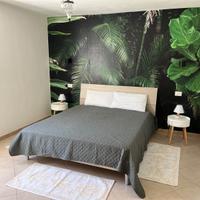 Appartamento Cavallino, Tartaruga