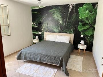 Appartamento Cavallino, Tartaruga