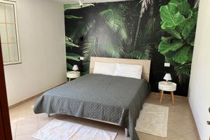 Appartamento Cavallino, Tartaruga