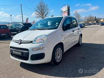 FIAT Panda 3ª serie Panda 1.2 EasyPower Easy