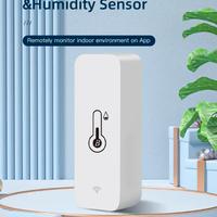 2 Sensori smart Tuya temperatura e umidità