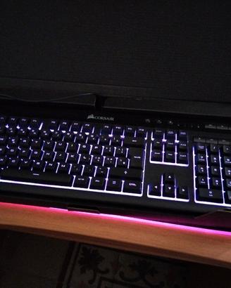 tastiera gaming Corsair k55+  pad rgb black shark