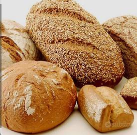 Panetteria pasticceria