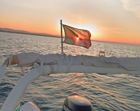 Gommone STINGER 620 XS