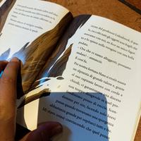 libro Viaggio al centro della Terra 