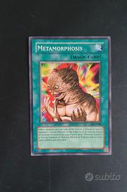 Metamorphosis PGD-090