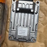 Centralina Ducari monter 1100