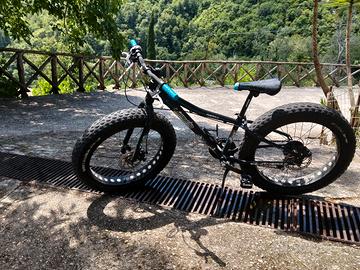 bicicletta lombardo piennero 
