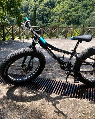 bicicletta lombardo piennero 