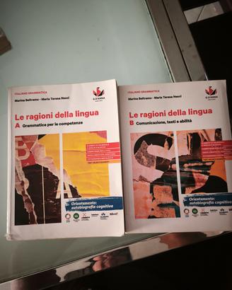 Libro "Le ragioni della lingua AeB"