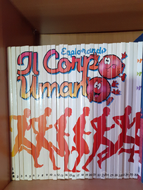 Collana esplorando il corpo umano