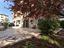 Immagine 28