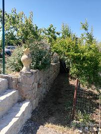A Gaeta . terreno agricolo