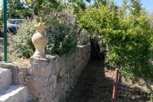 A Gaeta . terreno agricolo