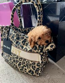 Borsa Mia Bag per cani piccoli