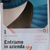 Libro Entriamo in Azienda, Economia Aziendale 