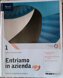 Libro Entriamo in Azienda, Economia Aziendale 