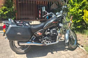  Guzzi Florida v 65