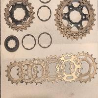 pacco pignoni 14 28 Ultegra 11v categoria allievi