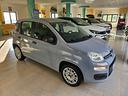 fiat-panda-1-2-easy-solo-109-000km-2018