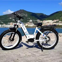 Bicicletta Elettrica Cyrusher Kuattro da 750W