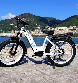 Bicicletta Elettrica Cyrusher Kuattro da 750W