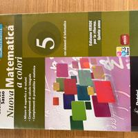 Libro Nuova Matematica a colori volume 5