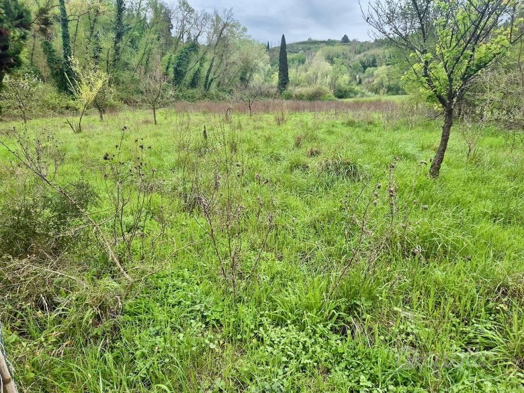 Terreno di 22000 m² a Casciana Terme Lari - Vista 5