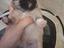 Immagine 2