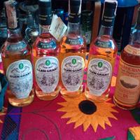 Vecchie Bottiglie di whisky, brandy, ecc