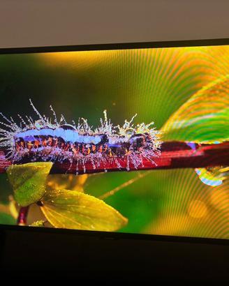 Televisione