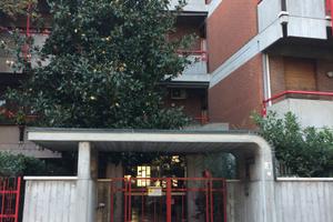 Bella camera zona viali, vicino universita'