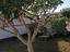 Immagine 14