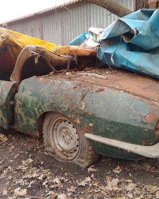 FIAT 850 SPIDER BERTONE