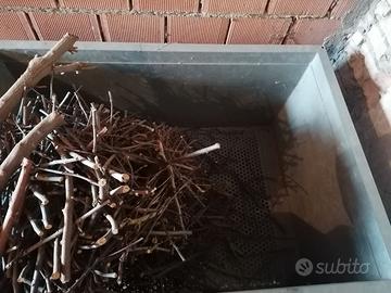 Porta legna, porta fieno, mangiatoia,box, terrario