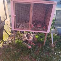 gabbia per conigli o pulcini