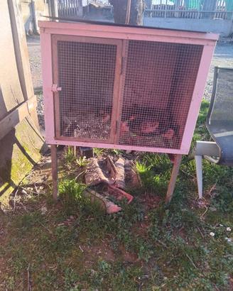 gabbia per conigli o pulcini