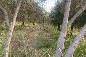 Terreno in campagna