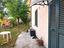 Immagine 21