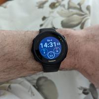 Smartwatch con GPS Garmin Forerunner 45