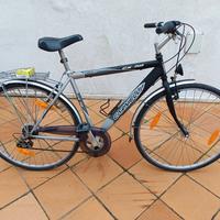 Bici da città Carnielli cambio Shimano