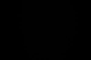 Scocca bmw e36 coupe