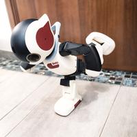 Robi il robot di DeAgostini versione italiana
raro