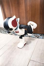 Robi il robot di DeAgostini versione italiana
raro