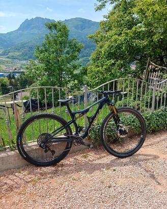 Orbea oiz 