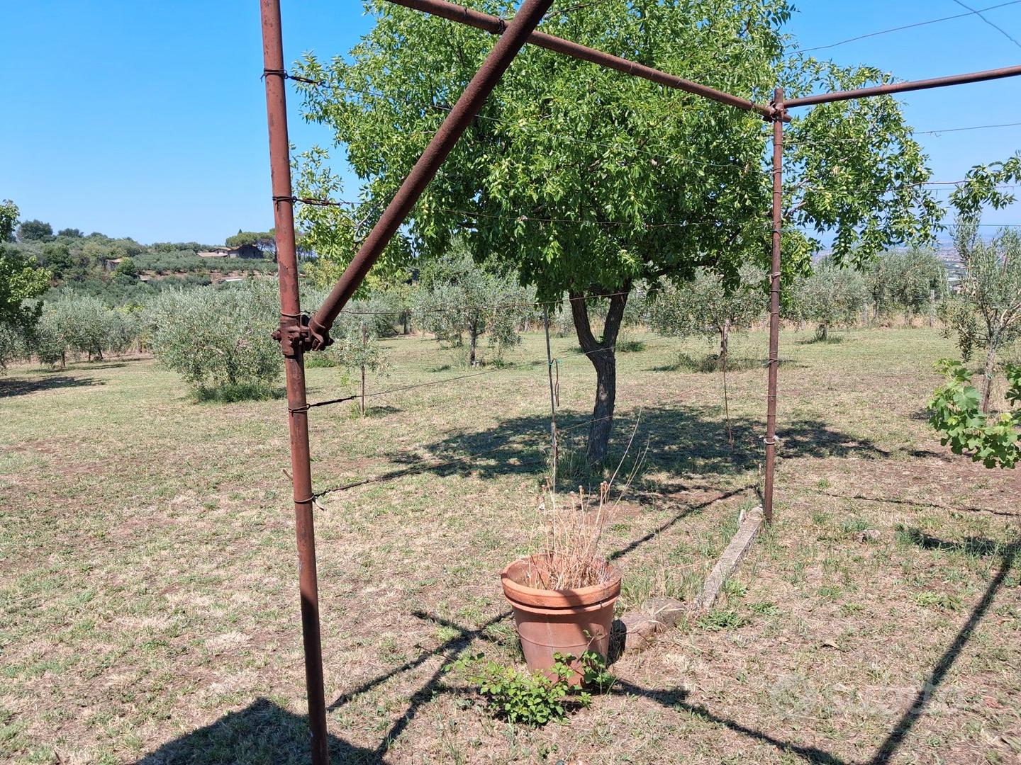 Terreno agricolo - Vista 3