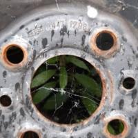 2 cerchi in ferro da 14 con gomme (Fiat Punto 188)