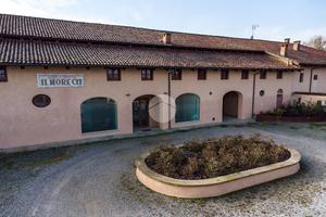 ATTIVITÀ A SAVIGLIANO